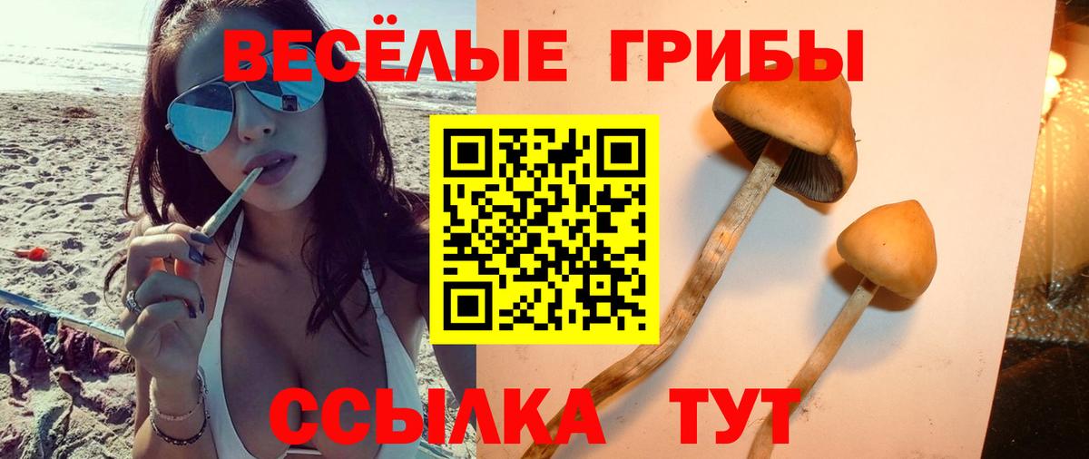 Галлюциногенные грибы Cubensis Щёлково